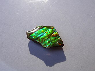 Ammolite specimen: gemstone