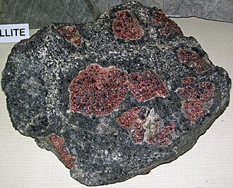 Amphibolite specimen: black and dark green metamorphic rock