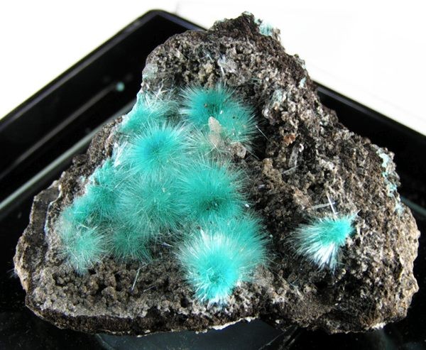 Aurichalcite specimen Aurichalcite specimen: pale green and blue-green mineral