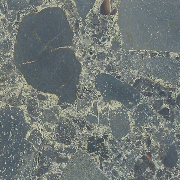 Breccia specimen Breccia specimen: sedimentary rock