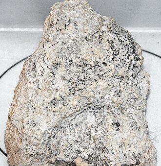 Caliche specimen: white and cream sedimentary rock
