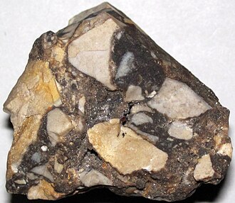 Chert specimen: gray and white sedimentary rock