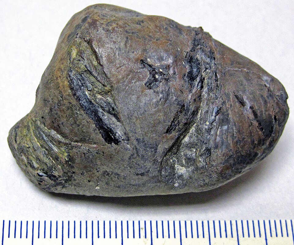 Claystone specimen: gray and red sedimentary rock