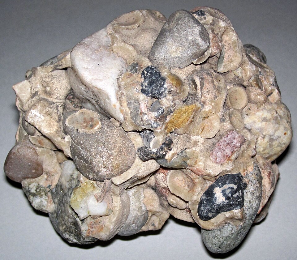 Conglomerate specimen Conglomerate specimen: variegated and gray sedimentary rock