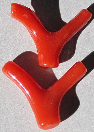 Red Coral specimen: red and pink gemstone