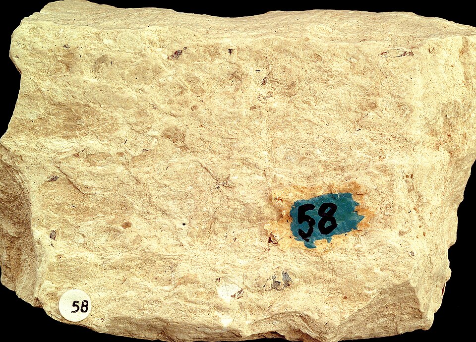 Diatomite specimen Diatomite specimen: white and cream sedimentary rock