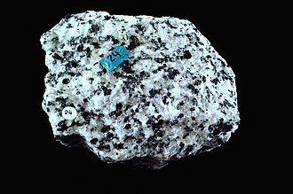 Diorite specimen: salt-and-pepper gray and dark gray igneous rock