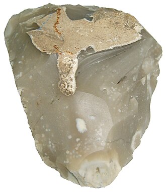 Flint specimen: black and dark gray sedimentary rock