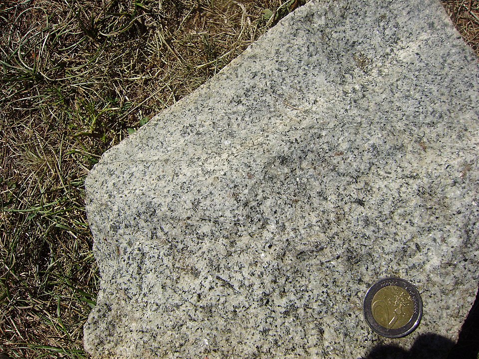 Granodiorite specimen Granodiorite specimen: light gray and gray igneous rock