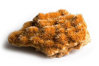 Gypsum specimen: colorless and white mineral
