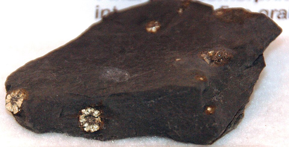 Hornfels specimen Hornfels specimen: gray and black metamorphic rock