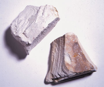 Kaolinite specimen Kaolinite specimen: white and cream mineral