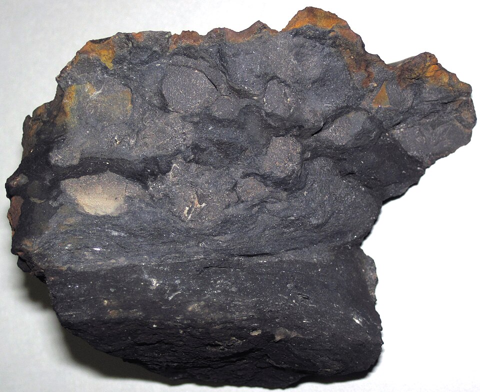 Limestone specimen Limestone specimen: white and gray sedimentary rock