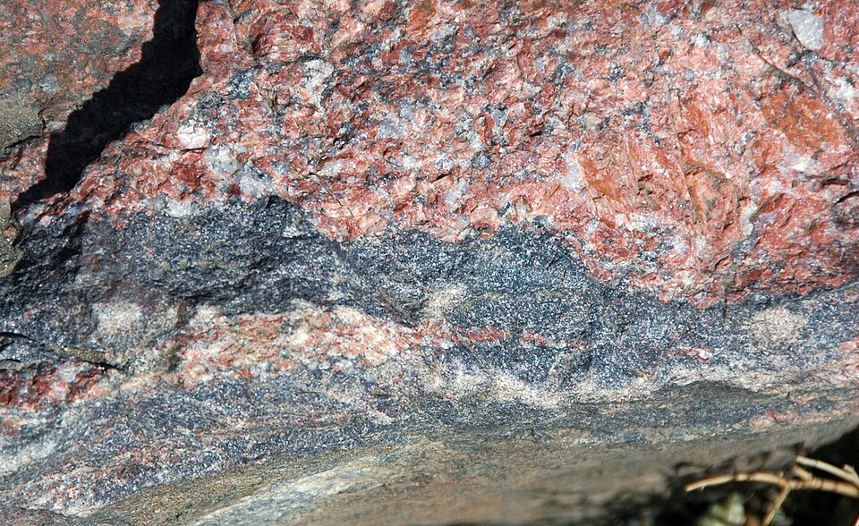 Migmatite specimen Migmatite specimen: pink and black and light and dark layered metamorphic rock