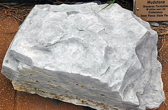 Mudstone specimen: gray and brown sedimentary rock