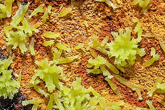 Pyromorphite specimen: green and yellow-green mineral