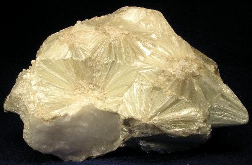 Pyrophyllite specimen Pyrophyllite specimen: white and gray mineral