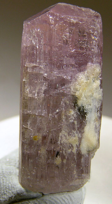 Scapolite specimen Scapolite specimen: white and pink mineral