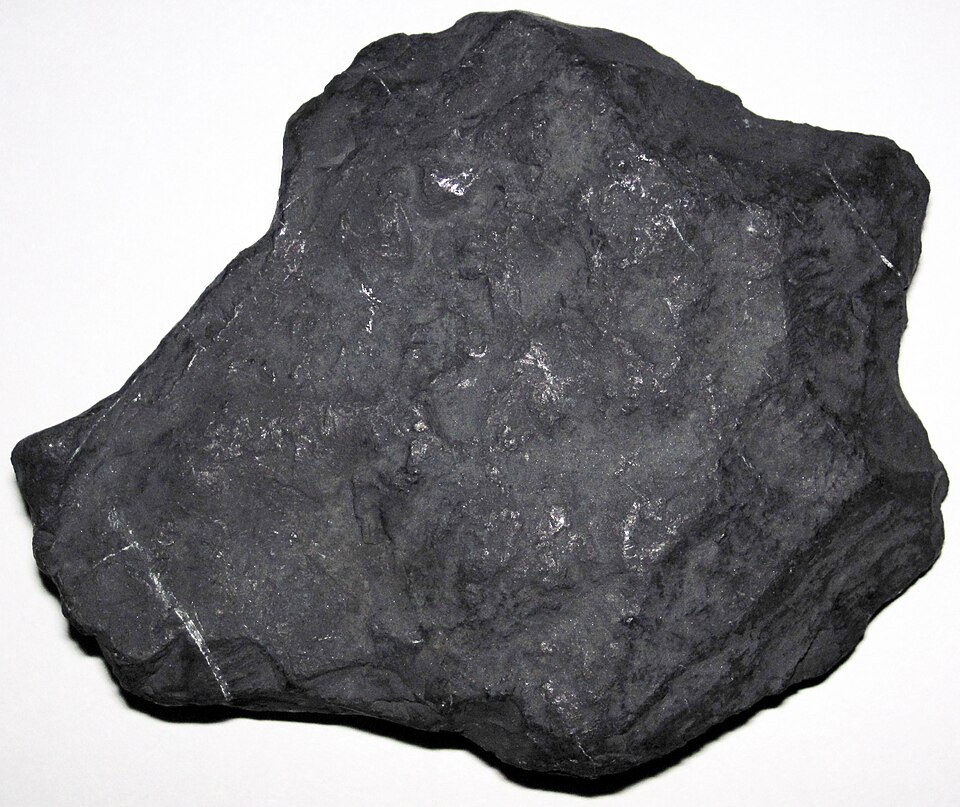 Shungite specimen Shungite specimen: black and dark gray sedimentary rock