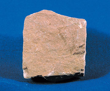 Siltstone specimen Siltstone specimen: gray and tan sedimentary rock