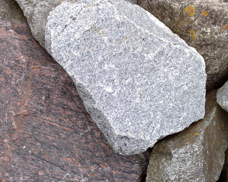 Tonalite specimen Tonalite specimen: white and gray igneous rock